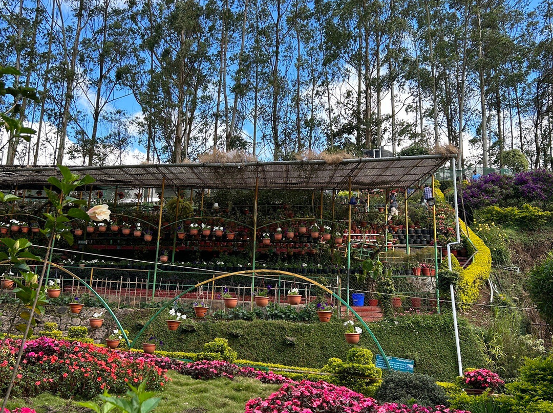 Rose Gardens景点图片