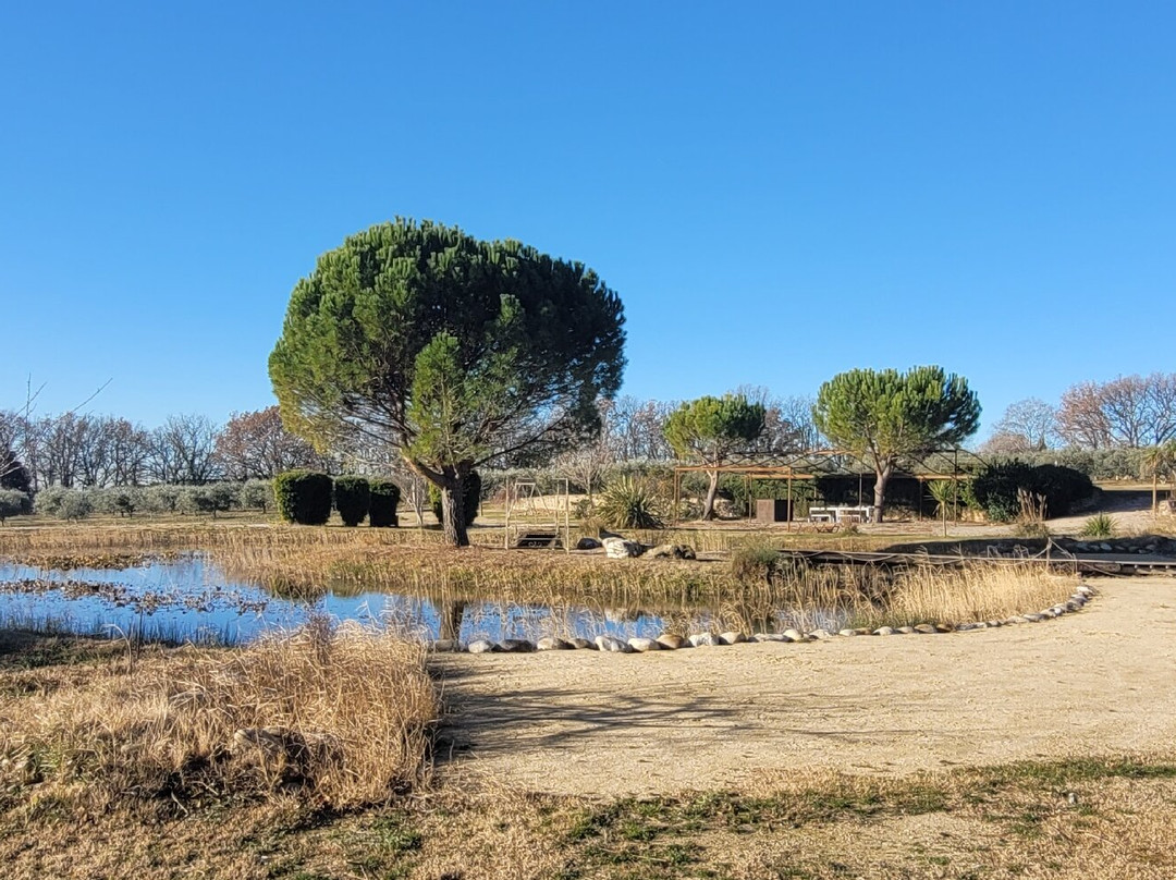 Domaine Amourella