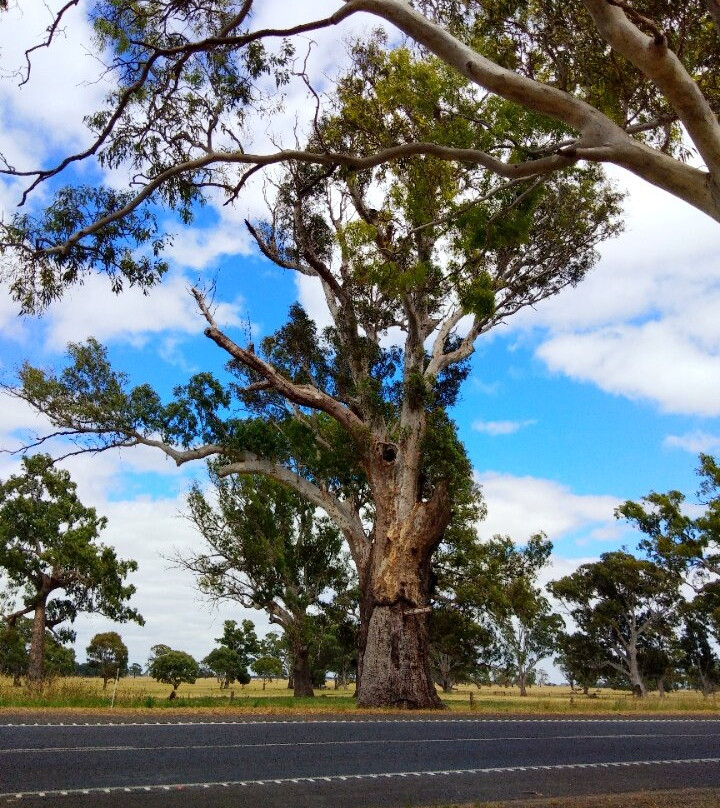 Father Woods Park-潘娜拉必去景点