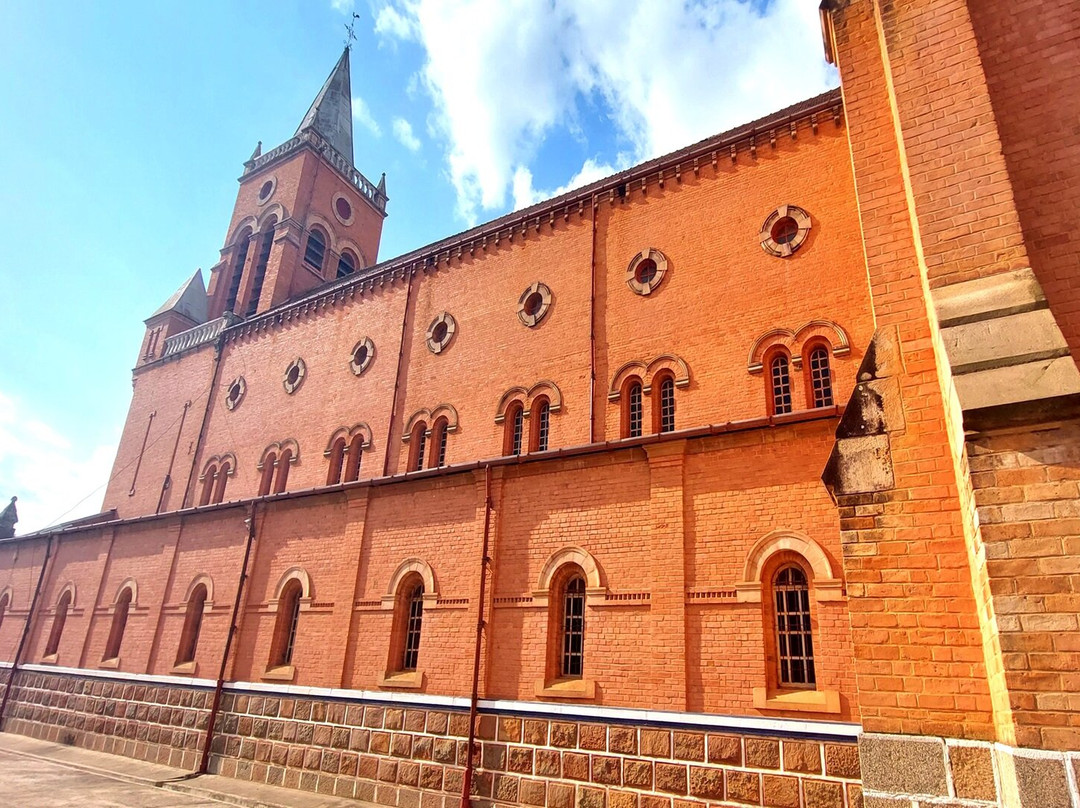 Cathedral of the Immaculate Heart of Mary景点图片