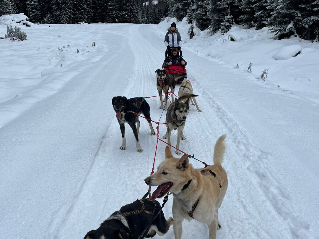 Cold Fire Creek Dogsledding-维尔蒙特必去景点