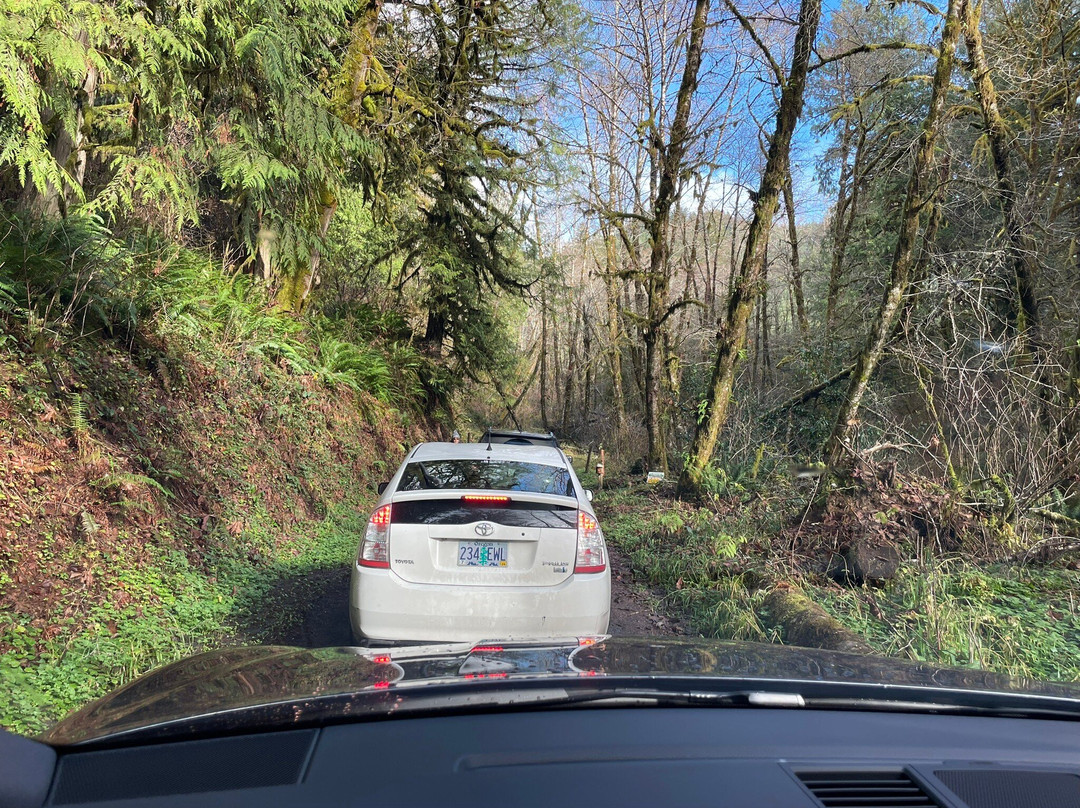 White Wolf Sanctuary & Educational Facility-Tidewater必去景点