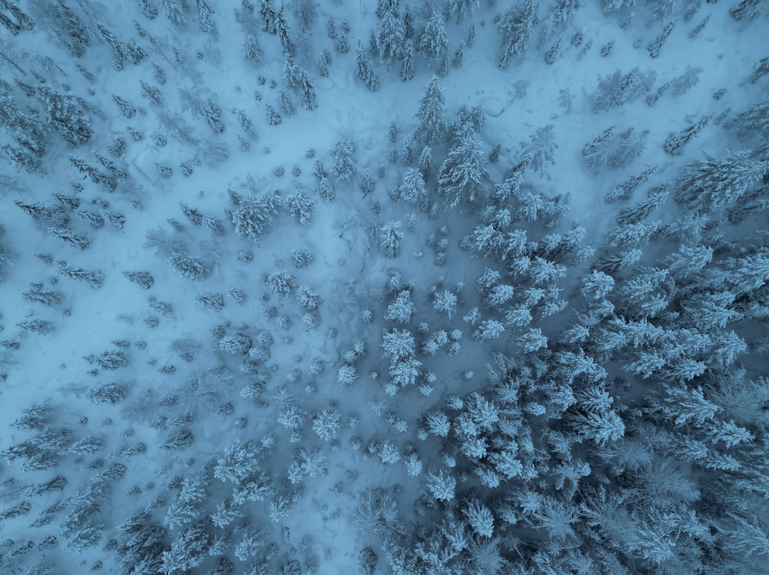 Lapland Salmon Lodge-凯米必去景点