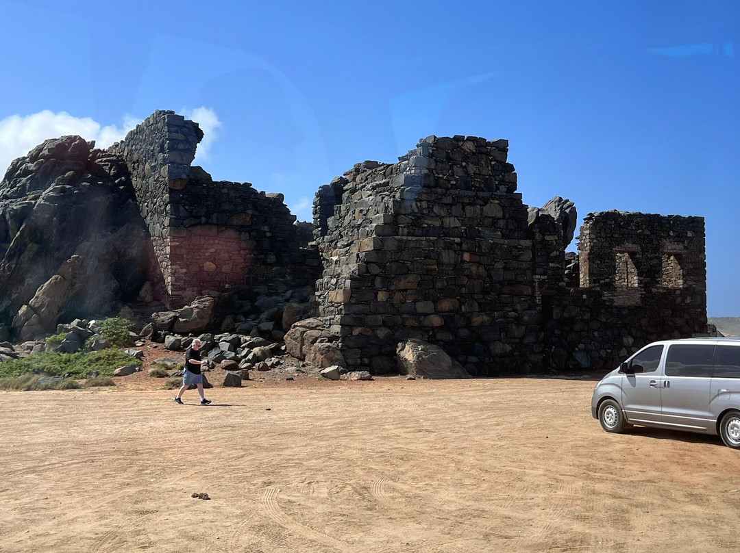 Aruba Fantasy Tours-奥腊涅斯塔德必去景点