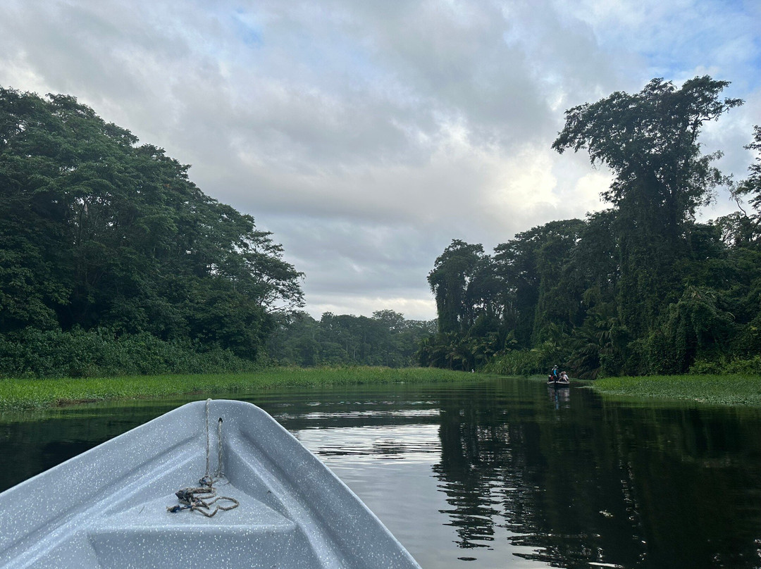 Tuanis Tour Tortuguero景点图片