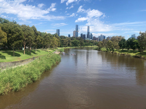 Blue Tongue Bikes-墨尔本必去景点