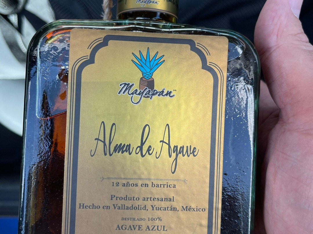 Mayapan Traditional Agave Distillery景点图片