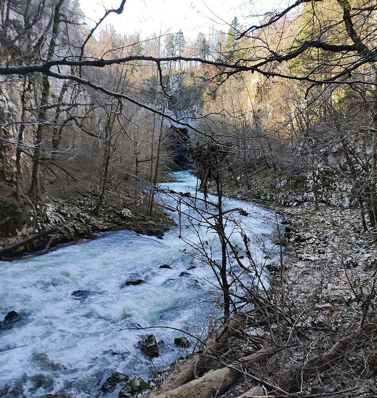 Rakov Škocjan Valley-Rakek必去景点