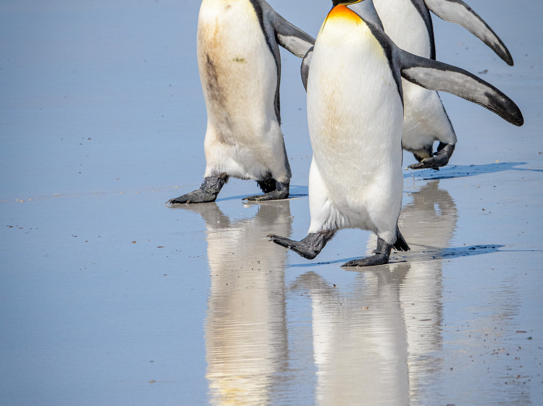 lucky Private Tour-Stanley必去景点