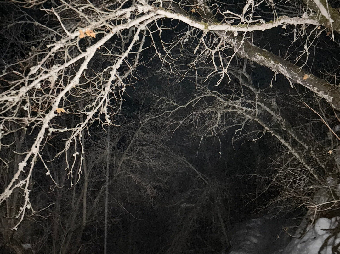 Fifth Water Hot Springs-Springville必去景点