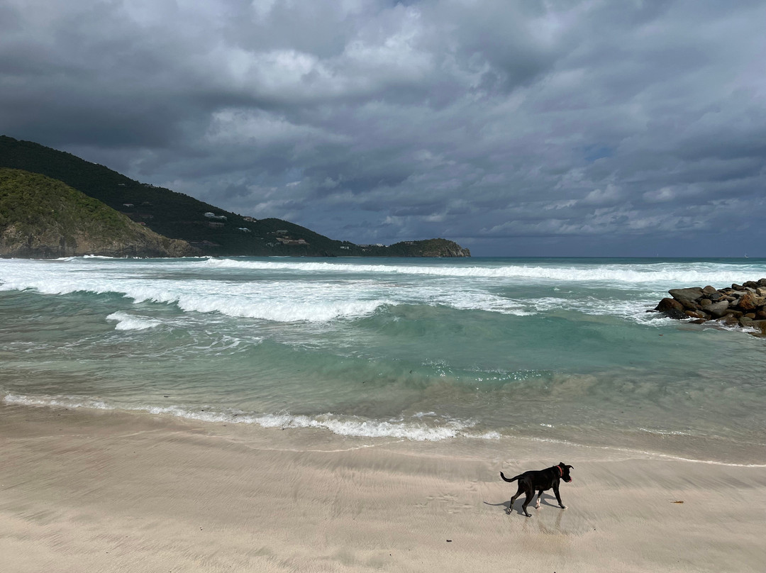 Josiah's Bay-托土拉必去景点
