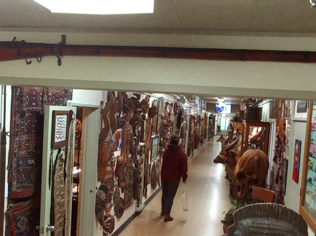 Hand of Man - Museum of Natural History, Cultural Arts & Conservation景点图片