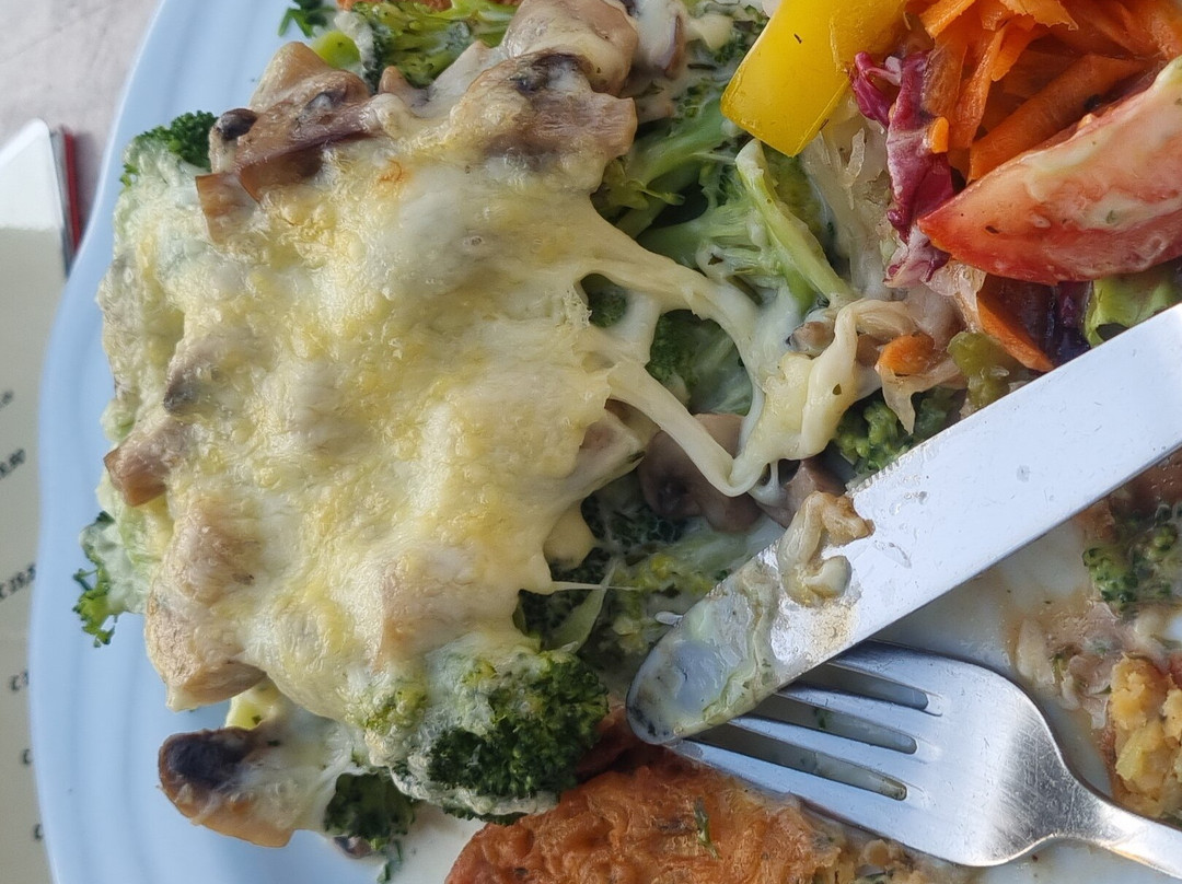 Landhotel Alte Aue主图