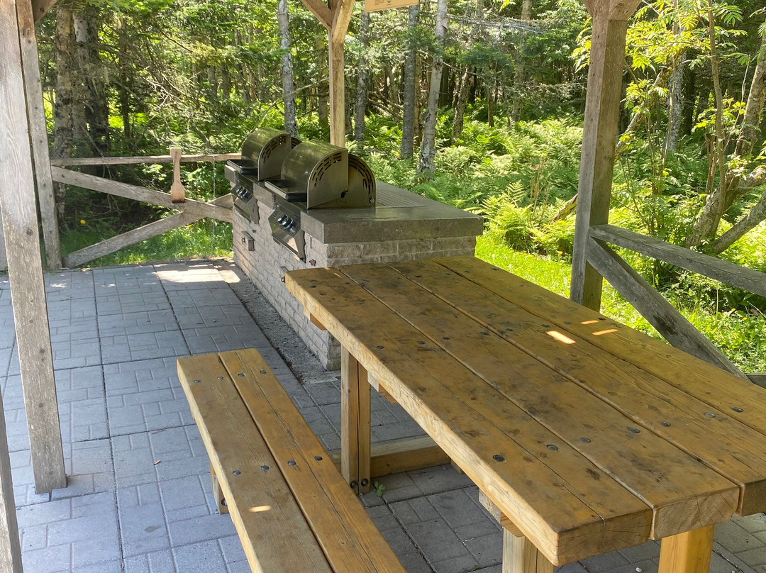 Irving Nature Park-圣约翰必去景点