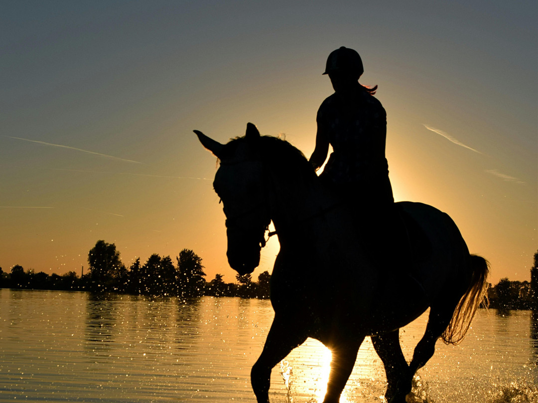 Belek Safari | Horse Riding Tour-Kumkoy必去景点