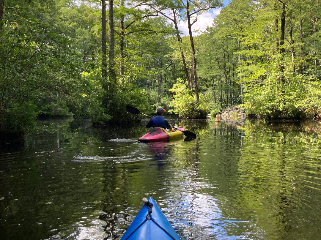 Tar River Life景点图片