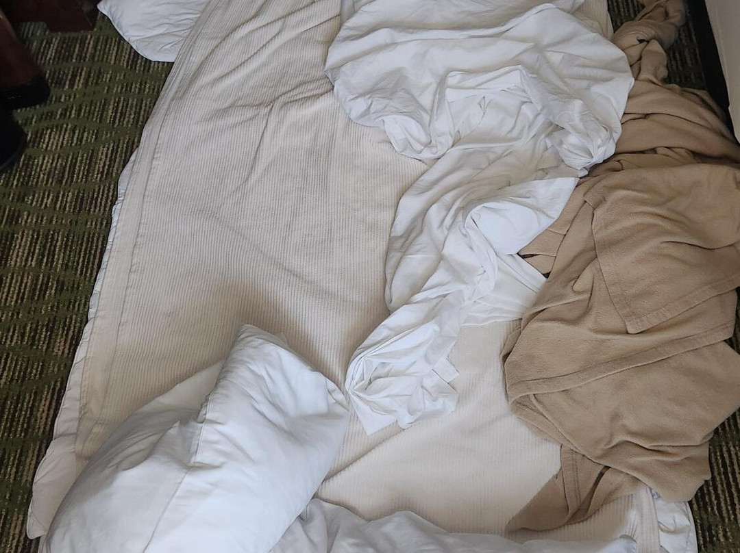 圣迭戈拉荷亚万豪酒店主图