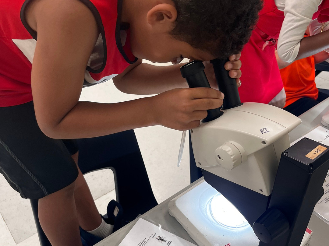 Rush Hour Escapes Cornwall-康沃尔必去景点