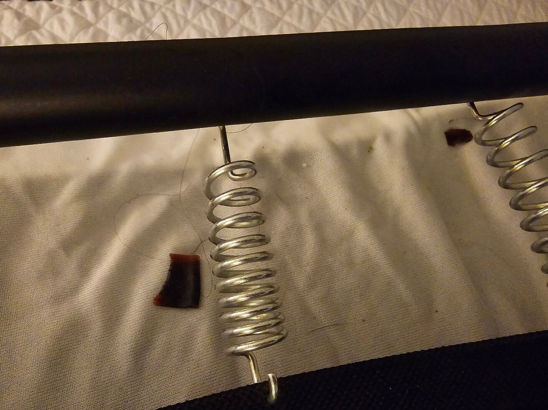 Residence Inn by Marriott Corpus Christi主图