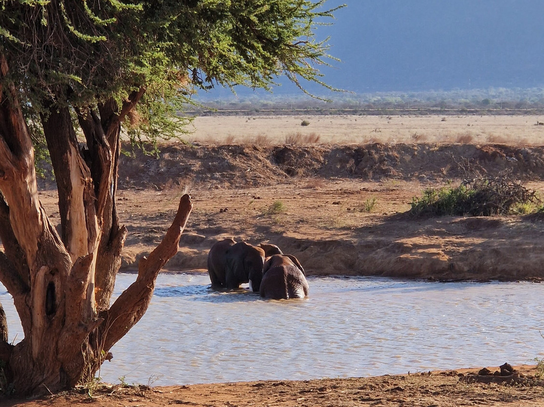 First African Dream Tours & Safaris景点图片