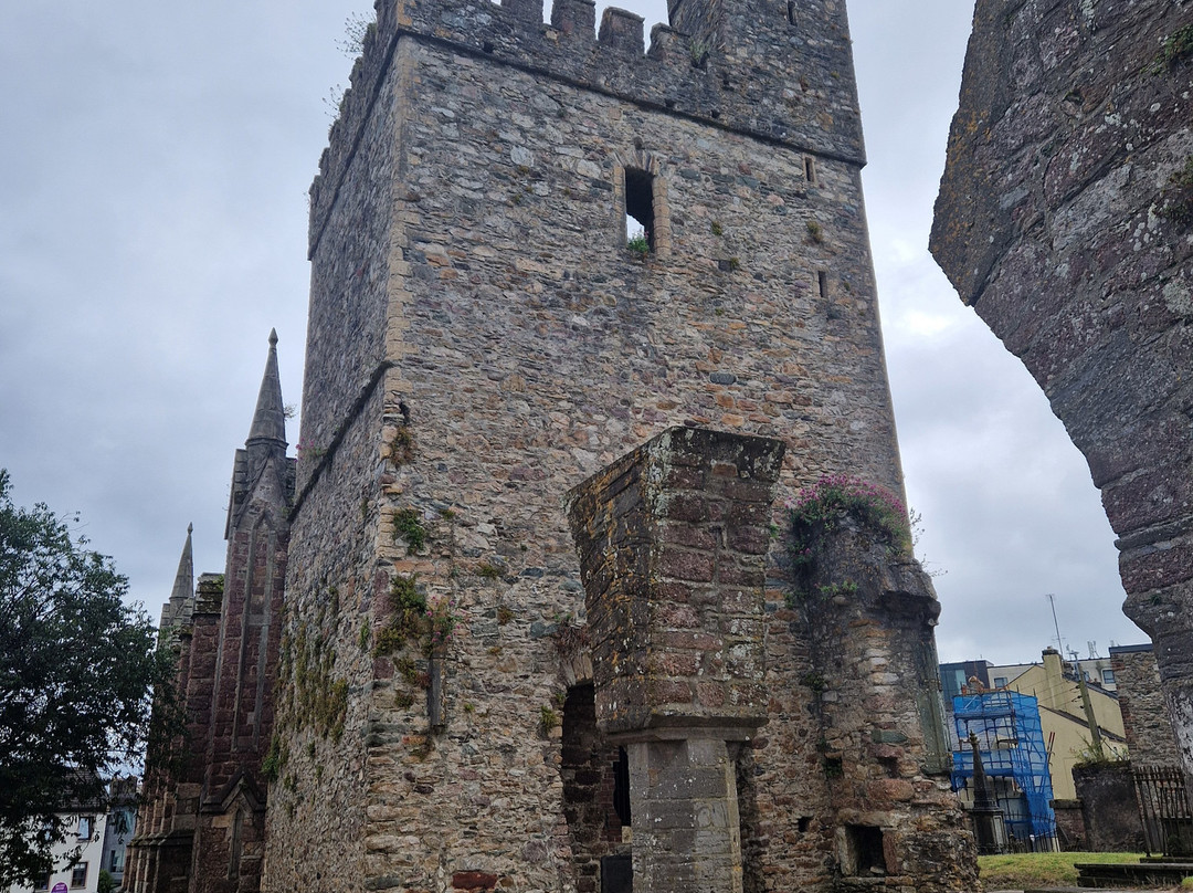 Selskar Abbey-County Wexford必去景点