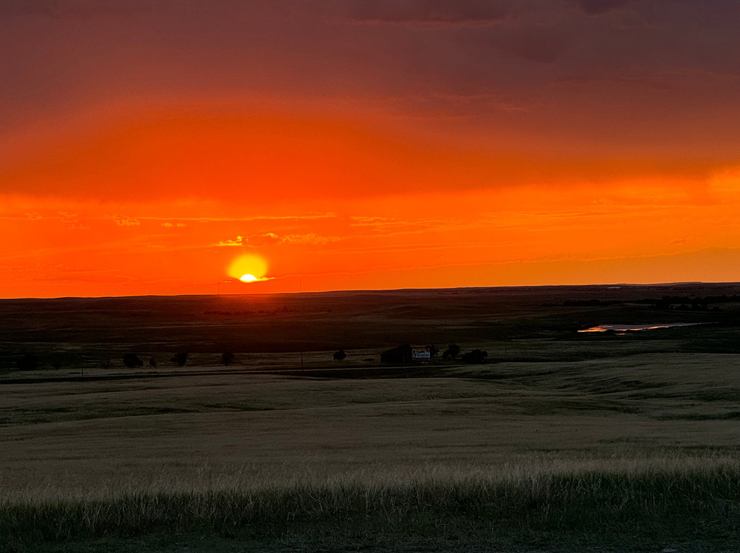 Buffalo Gap National Grassland-拉皮德城必去景点