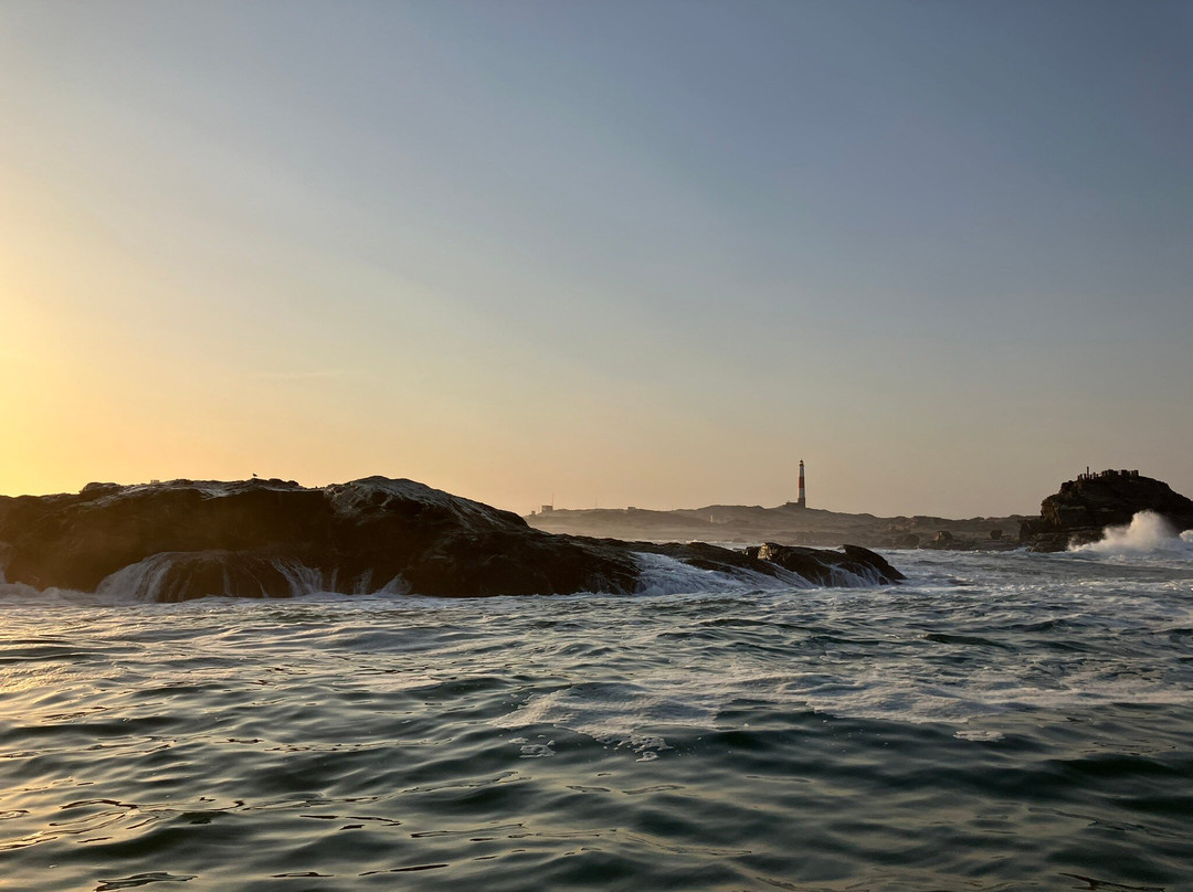 Zeepaard Boat Tours-吕德里茨必去景点
