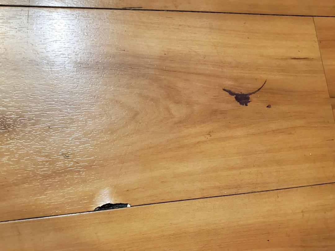 Sunnyside Inn and Suites主图