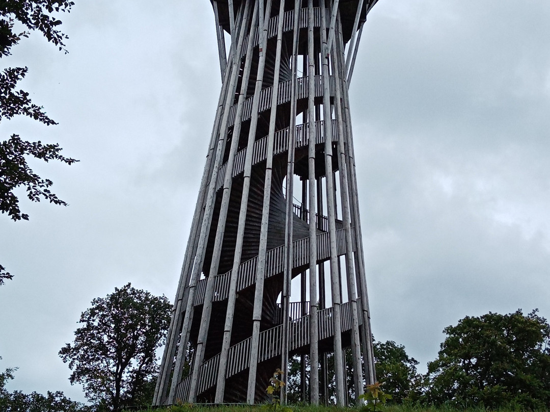 Sauvabelin Tower-洛桑必去景点