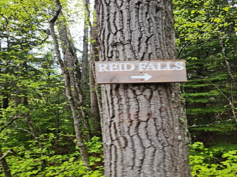 Lower Reid Falls-史凯威必去景点