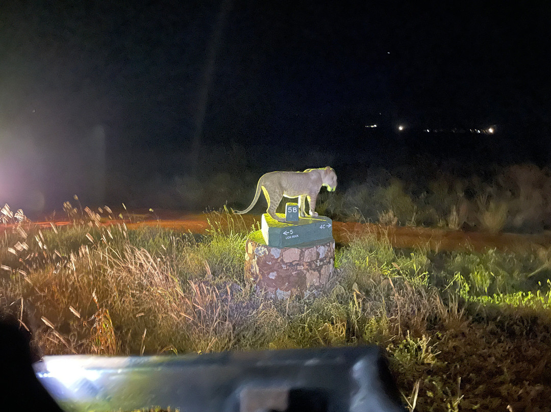 Safari Mapeka-瓦塔木必去景点