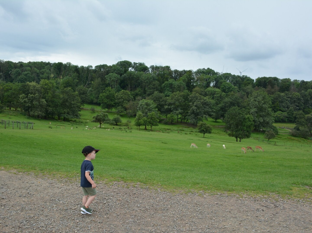 Naturwildpark Freisen-Freisen必去景点