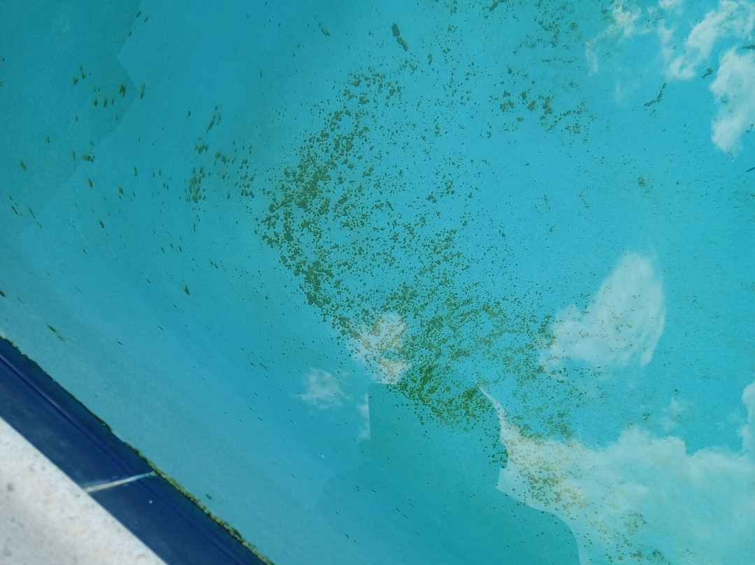 Courtyard Troy主图