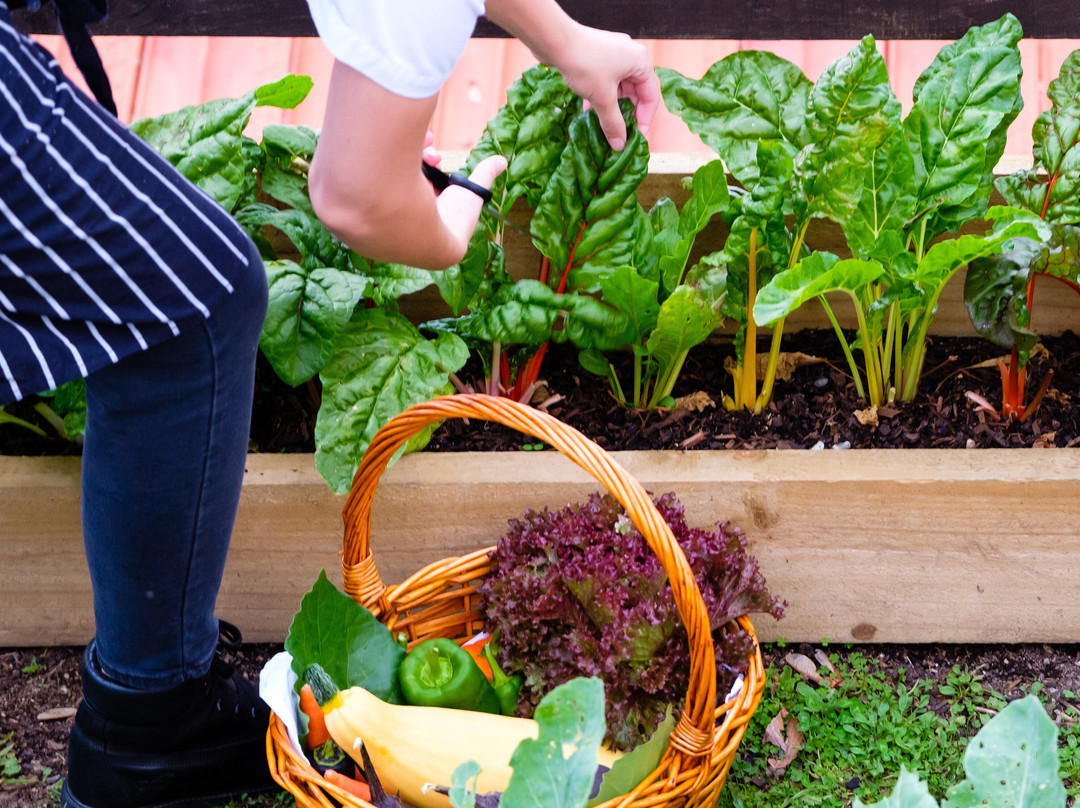 The Mains At On The Point - Lake Rotorua