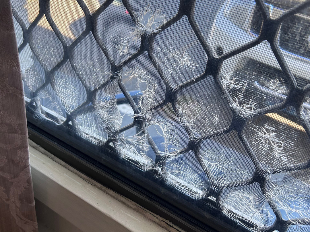 海岸驱车汽车旅馆主图