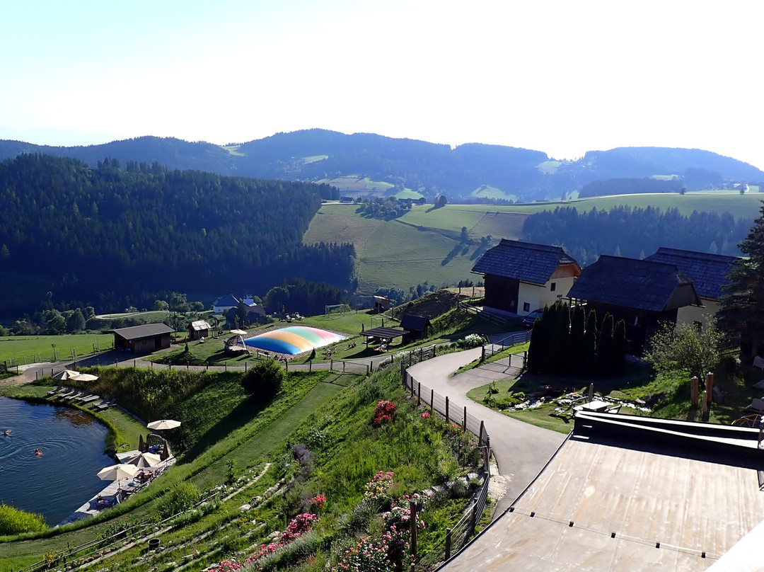 Gasthof Hotel Petschnighof主图