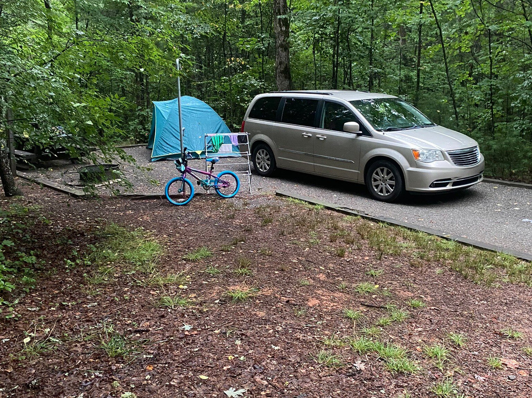 Lake Powhatan Recreation Area & Campground-阿什维尔必去景点