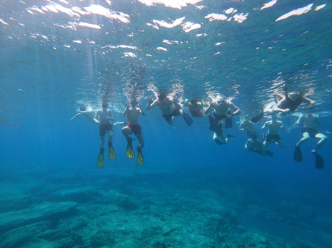 Blue Manta Diving & Aquanautic Club景点图片