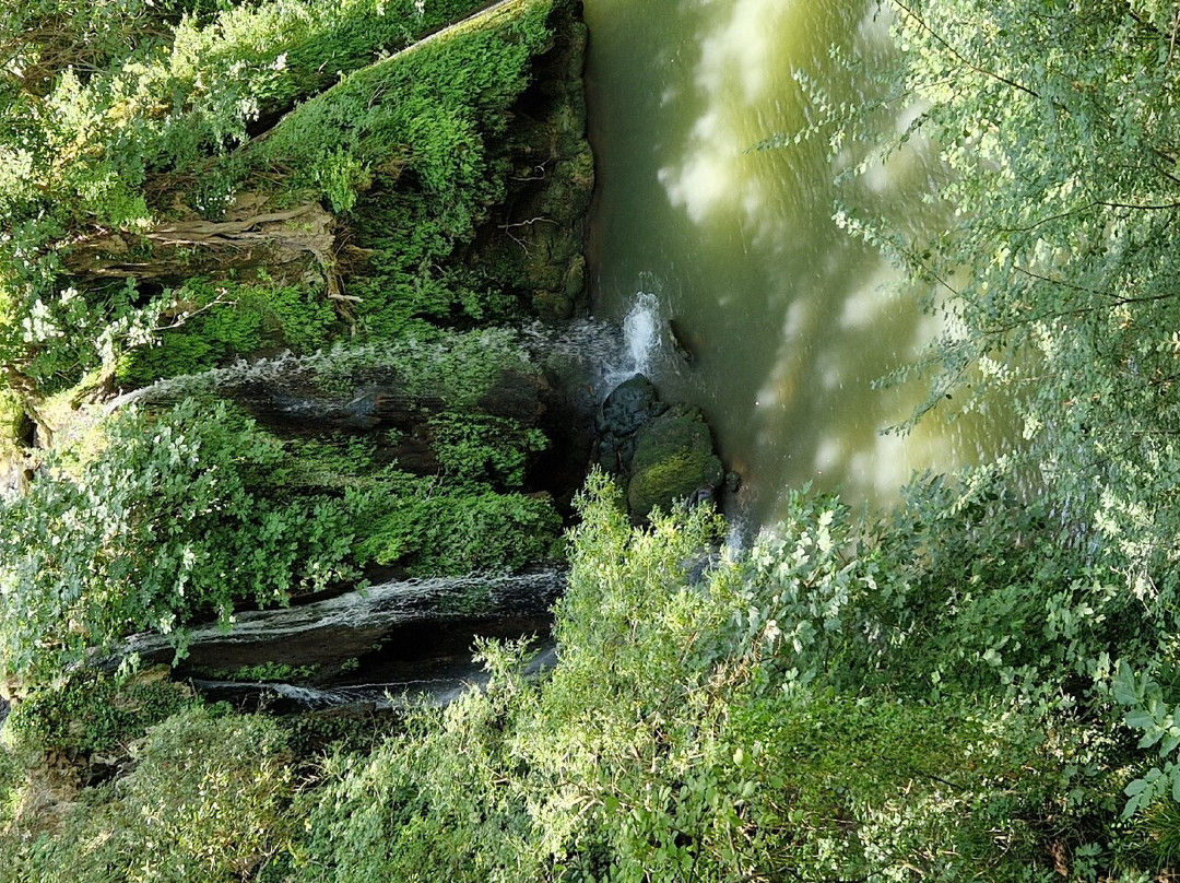 Domaine Fontainebleau en Provence景点图片