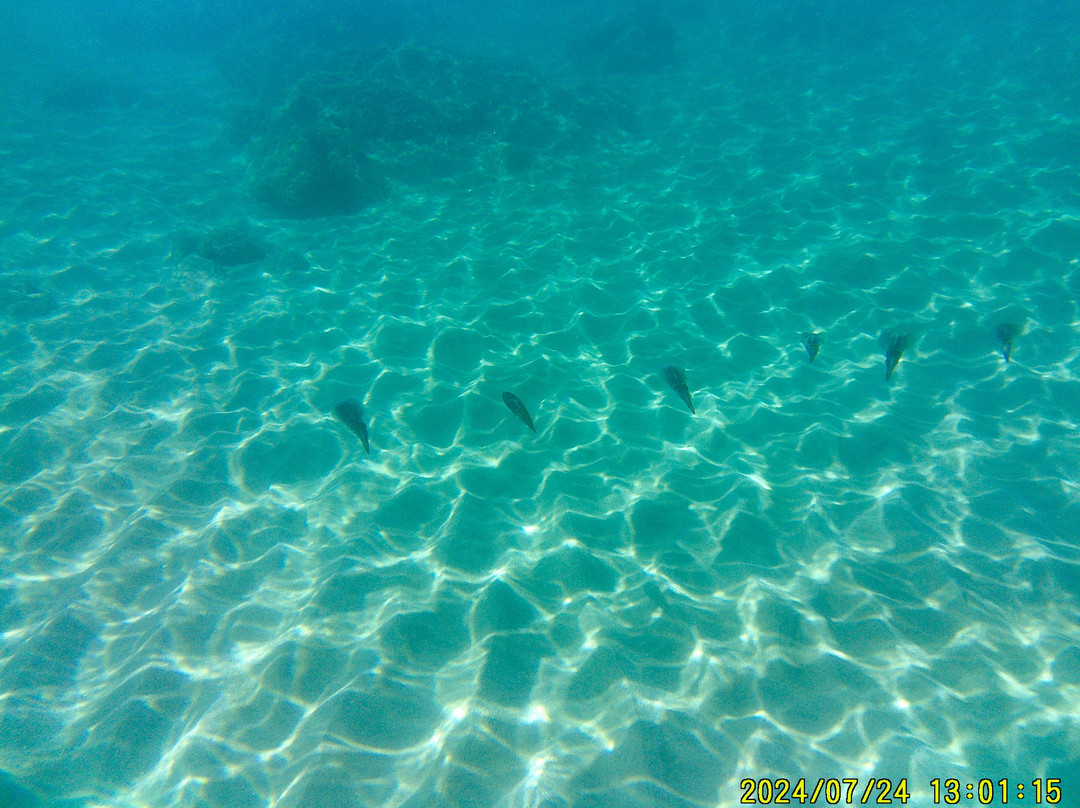 Playa Peña Blanca-Aguadilla必去景点