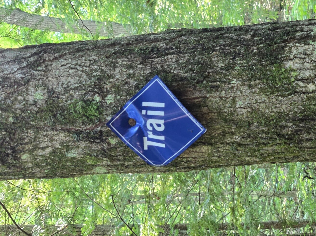 Kangaroo Lake Nature Preserve-Baileys Harbor必去景点