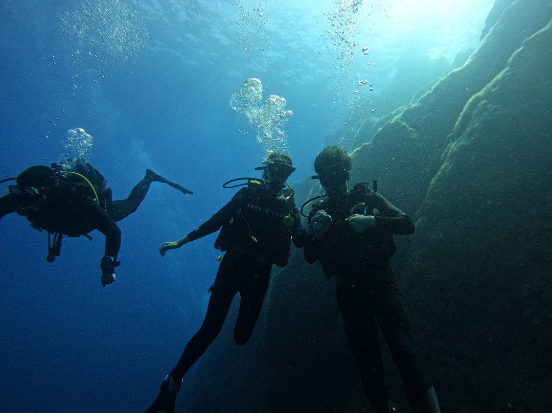 Aqualonde Plongée-La Londe Les Maures必去景点