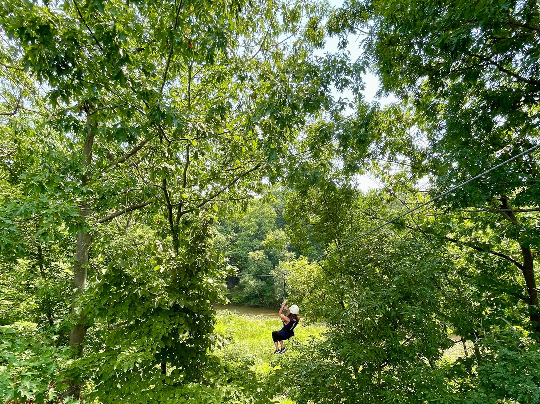 Lake Erie Canopy Tours-Geneva必去景点
