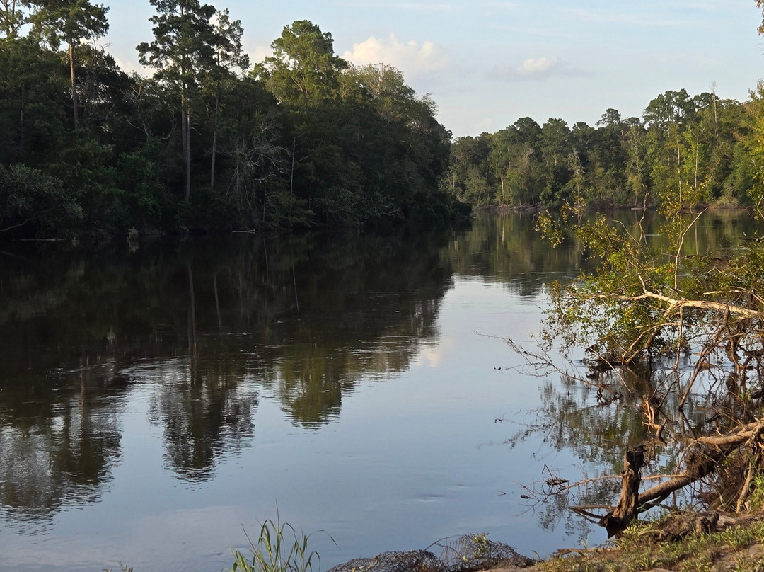 Village Creek State Park-Lumberton必去景点