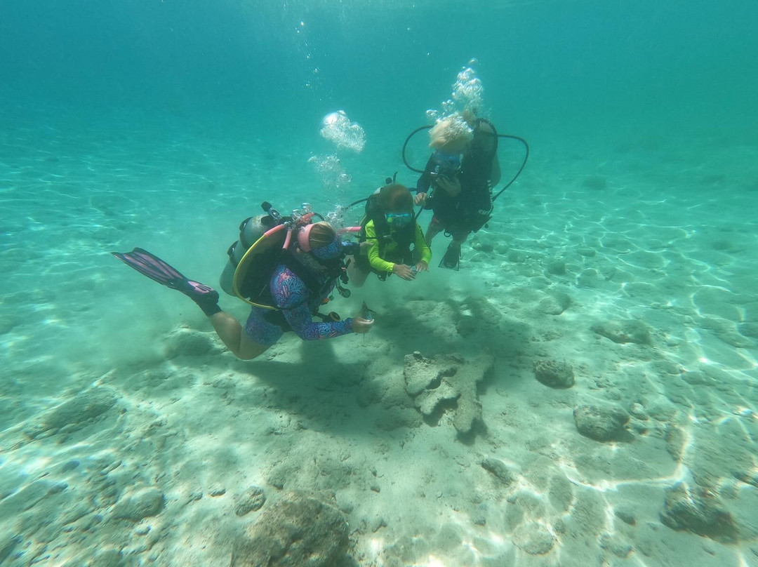 Jan Thiel Diving-威廉斯塔德必去景点