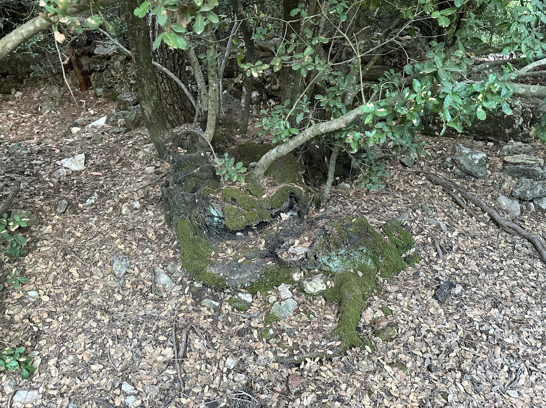 Ajloun Nature Reserve-Ajlun必去景点