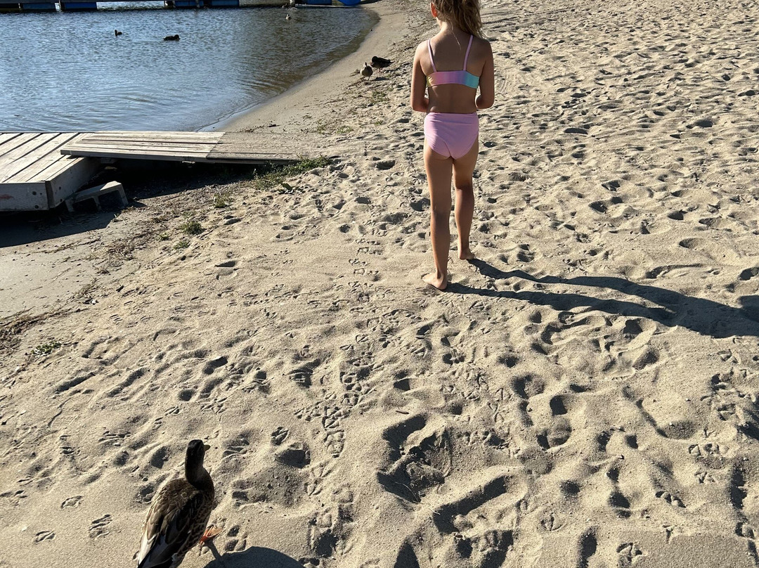 Safari Beach Resort主图