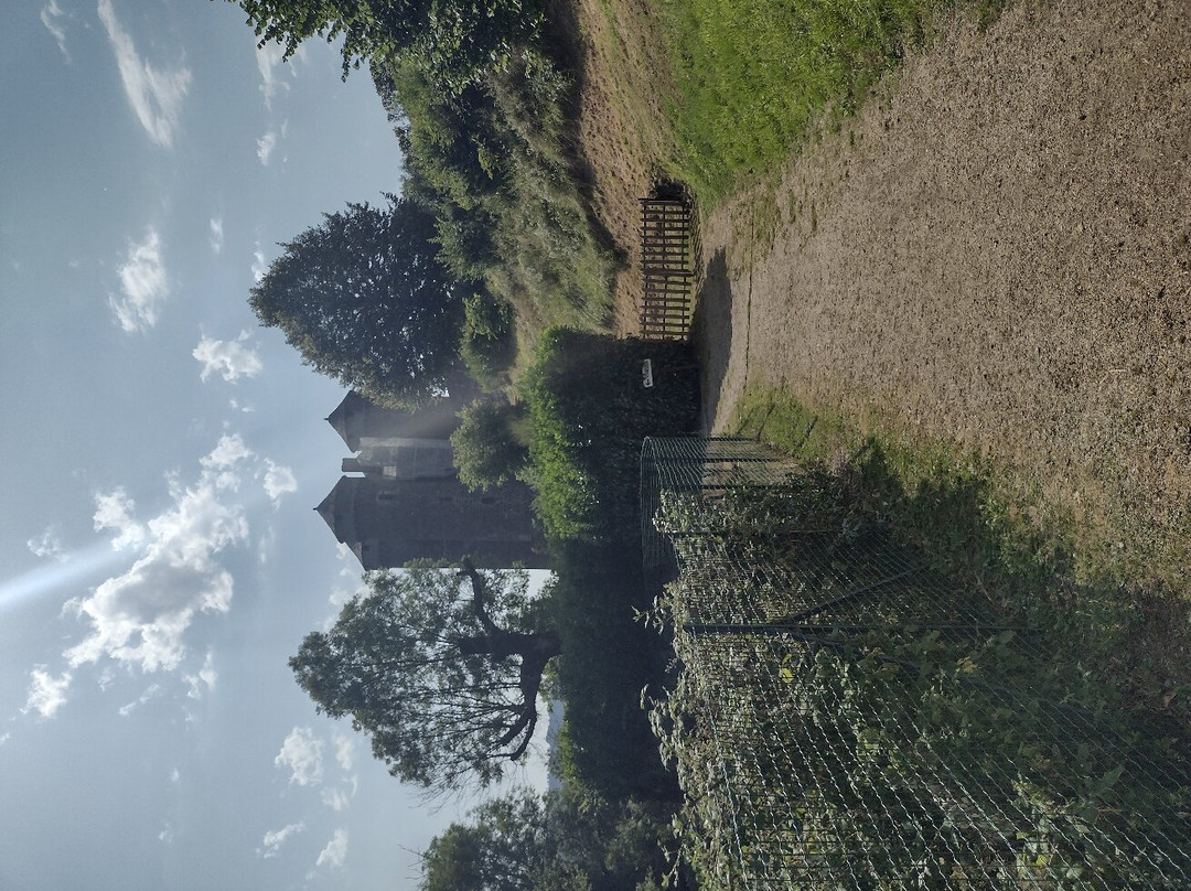 Chateau d'Anjony景点图片