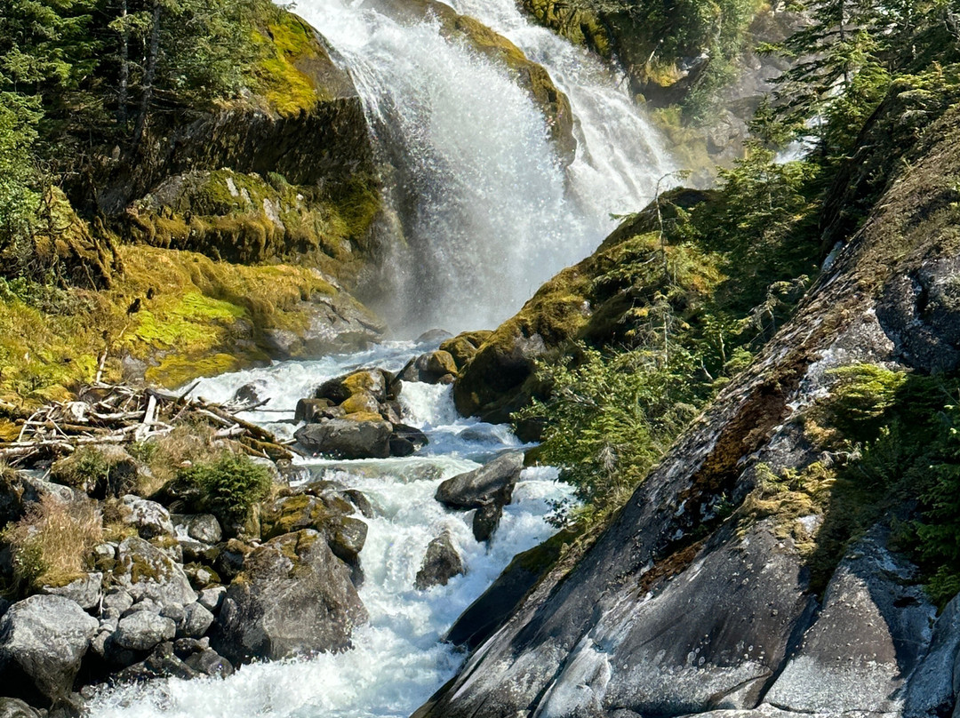 Muddy Water Adventures-Wrangell必去景点