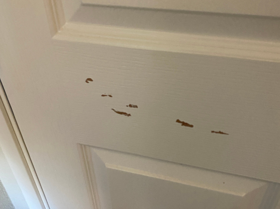 Staybridge Suites Fairfield Napa Valley Area By IHG主图